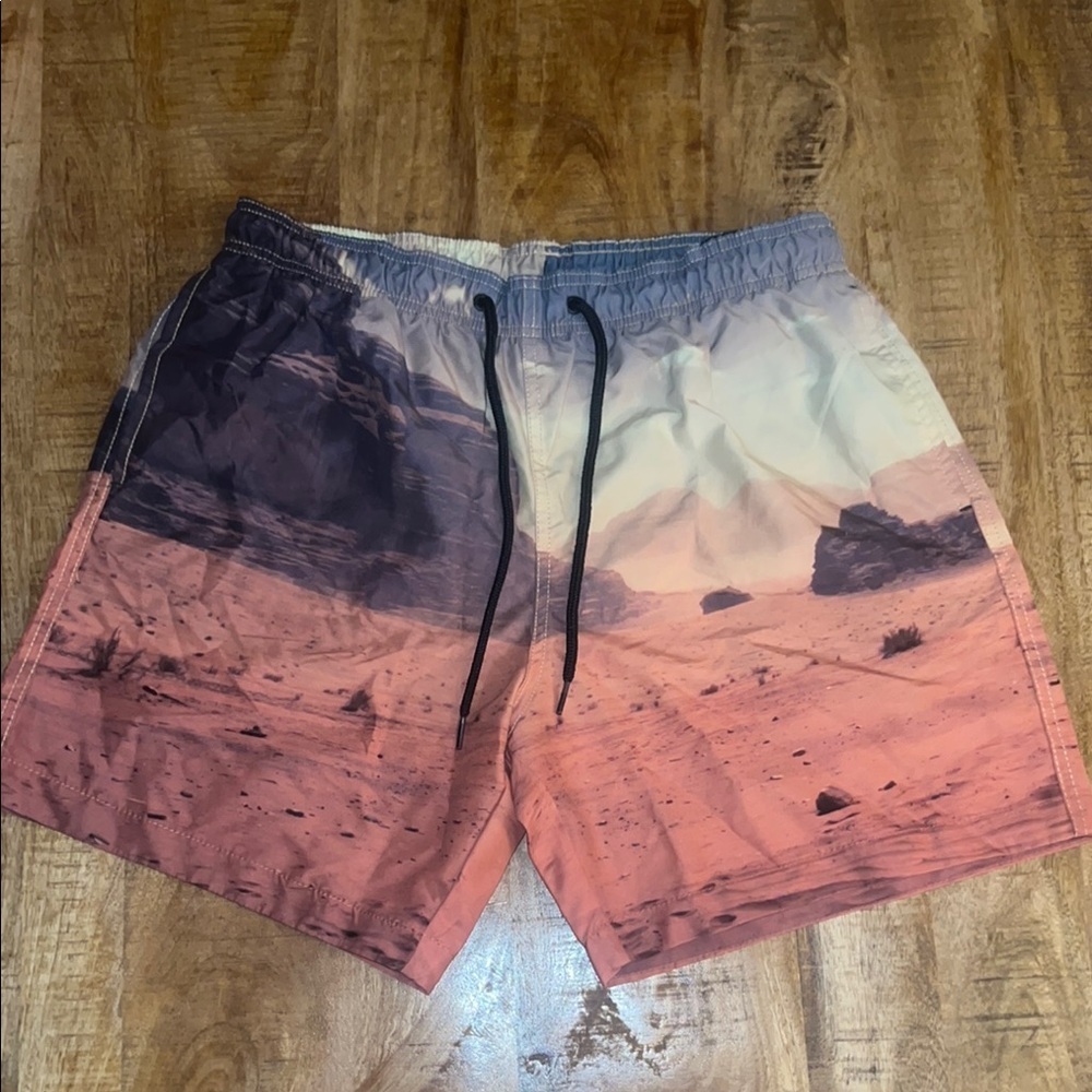 H&M Multicolor Swim Shorts